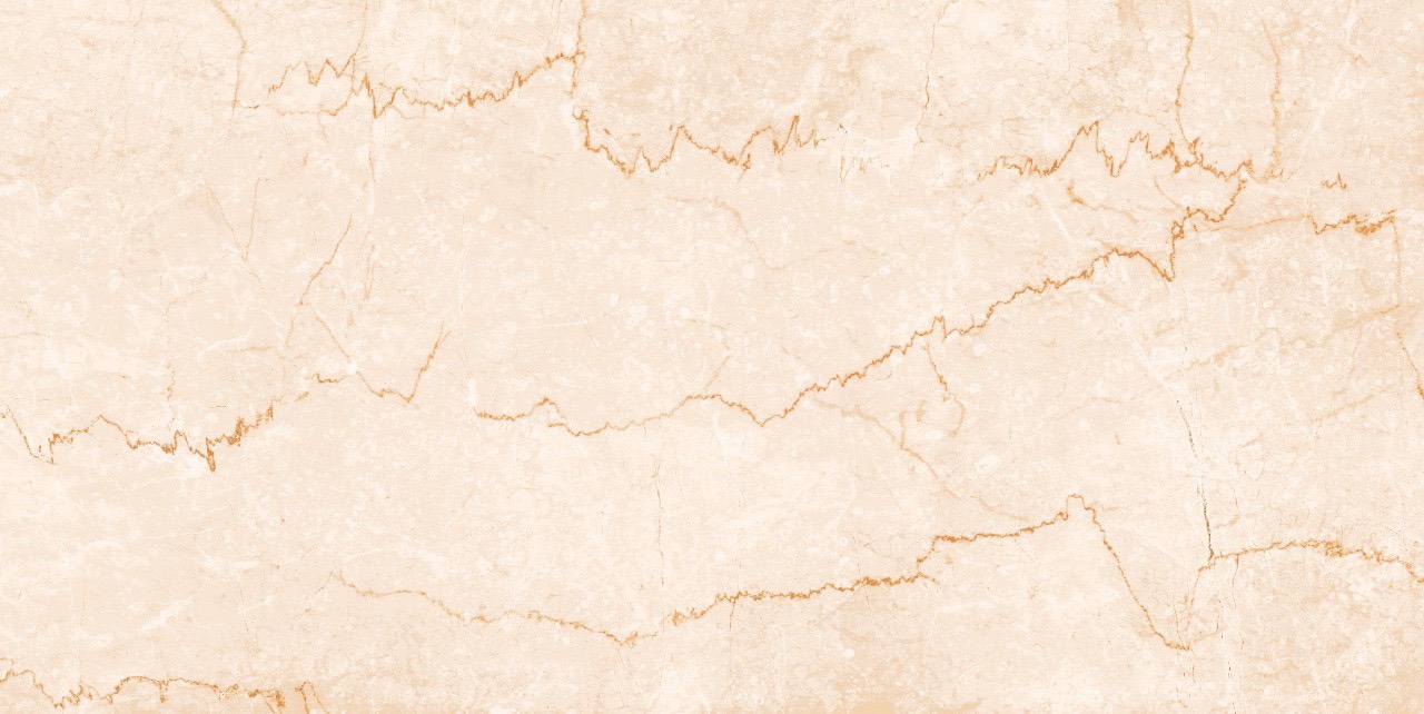 Gạch 60x120 Ấn Độ 12011 Satin