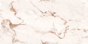 Gạch 60x120 Ấn Độ Latina Bianco 5