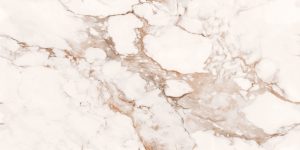 Gạch 60x120 Ấn Độ Latina Bianco 4