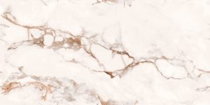 Gạch 60x120 Ấn Độ Latina Bianco 1