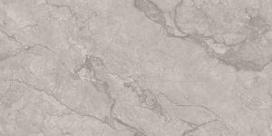 Gạch 60x120 Ấn Độ Loreal Grey 3