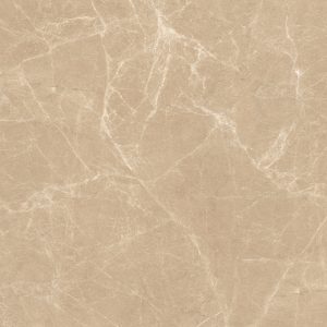 Gạch Ấn Độ 120x120 TAMPEST BRUNO